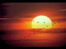 ARANJUEZ RODR�GO