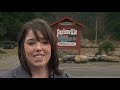 Watch: Cathedral Grove / MacMillan BC Park - A Tree Museum