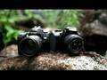 Nikon D90 vs Canon 550D Durability Test (Part 2)*