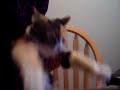 cat i\ cat i\