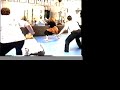 Harimau Silat