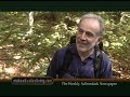 MVL #186 Adirondack Journal Hike to Bubbs Lake