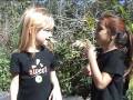 videos de ArBOOretum 2008