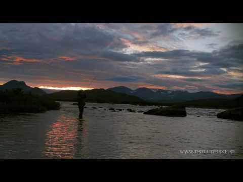 See video in full resolution