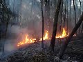 Incendio Florestal Regiao Metropolitana de Curitiba - 1