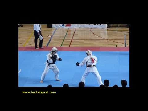 0 photo 0 Le Nippon Kempo – Les différentes écoles (2/2)