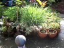 JYB files - garden