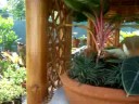 JYB files - garden