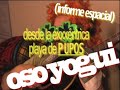 Oso Yogui - adelanto Programa Dos(2)-