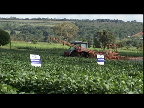 Acordo entre Mercosul e União Europeia põe em questão uso de agrotóxicos no Brasil