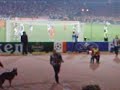 Freisto� Ronaldhino