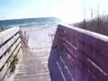 More lovely footage from Florida's Panhandle beach