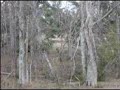 NoD Paintball NoD Paintball
