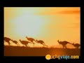 VIAJES A AUSTRALIA - MUCHOVIAJE