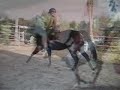 Horse and Girl bond