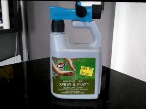 how to fertilize corn organically