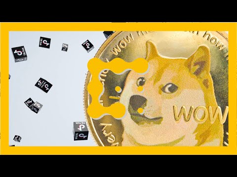 Why TikTok Fans Are Obsessing Over a Dog Meme Cryptocurrency video