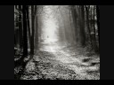 Joonas Hahmo-Radiance