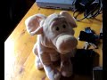 CERDITO CANTANTE