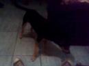 hhmm �.�