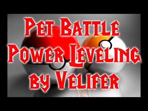 #1 Power Leveling Companion Pets for Pet Battles- MoP World of Warcraft