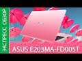 Відеоогляд ASUS VivoBook E203MA Star Grey (E203MA-FD004)