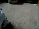 ROBOT KILLING WARS!!!!!!!!!!!!!!!!!!!!!!!!!!!!!!!!!!!!!!!!!!