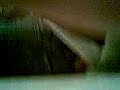 face down-trja face down-trja