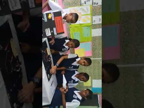 SJK T MOUNT AUSTIN💗Sains Fair💗Year 5 Niruti