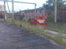 T212 - Kocur