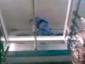 teste de rotaçao de ventiladores  e uma macacada.