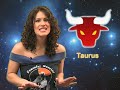 hey taurus!  here is your horoscope for 5/15/08.