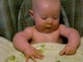 avacado 1 avacado 1