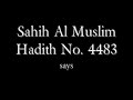 12 Imams of Wahabis and 12 Imams of Shia’s !!!