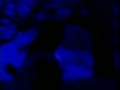 Mike Olfield - Moonlight Shadow.mpg