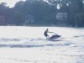Stand up jet skiing superjet 550 800 sxr
