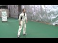 Sidearm