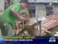 KORBAN PUTING BELIUNG DI LAMPUNG BUTUH BANTUAN