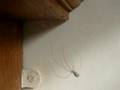 videos de mad spider