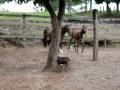 videos de Imagem 043
