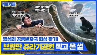 홍파서블ㅣ[보령판 쥬라기공원] 공룡발자국 화석을 홍보하라!