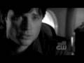 videos de the Not So Distant Future