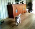 Pumba hates Usher Pumba hates Usher