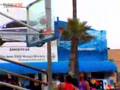Venice Beach Basketball