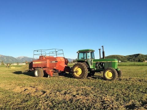 how to harvest alfalfa