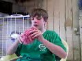 Reid and his squishy ball of joy