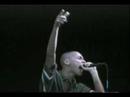 Baby Rasta y Gringo (The Noise vol 1 Live)