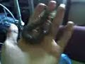 S_polymorpha_this_is_Mortal_Sin.3gp