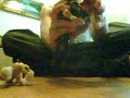 wrestling match son
