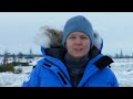 Polar Bear Myths & Facts